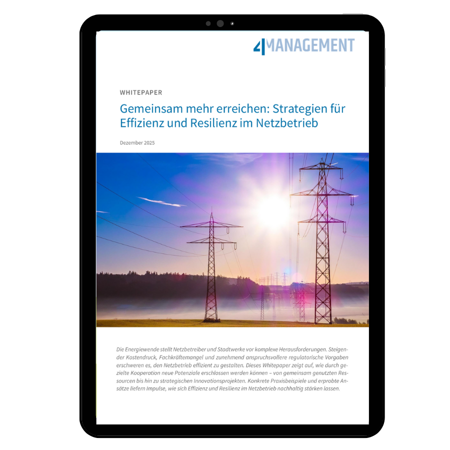 Teaser-Whitepaper-Energie